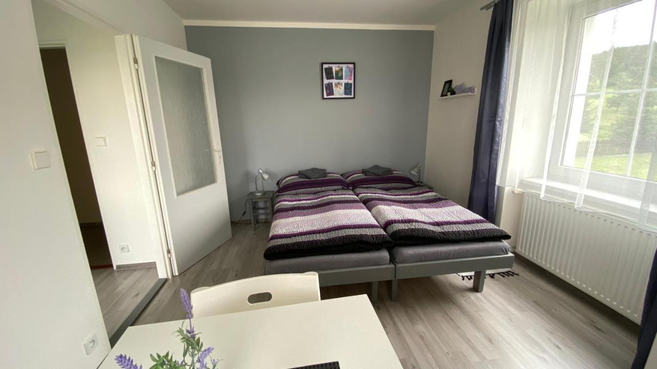 Penzion Kamejk Kamyk nad Vltavou Eksteriør bilde